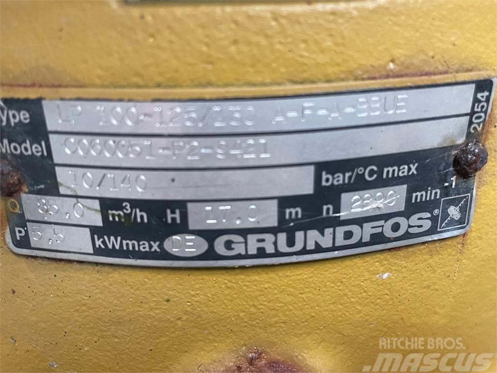 Grundfos type LP 100-125/130 A-F-A-BBUE pumpe Vandpumper