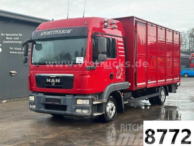 MAN TGL 10.250 4x2 Euro5 1.Stock Westrick Lastbiler til dyretransport