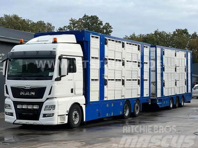 MAN TGX 26.480 6x2 3.Stock FINKL + Tandemanhänger Lastbiler til dyretransport