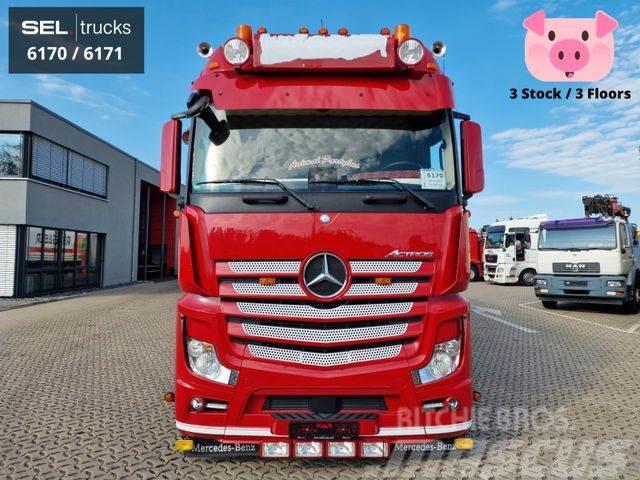 Mercedes-Benz Actros / Durchladezug / 3 Stock / Lenkachse Lastbiler til dyretransport