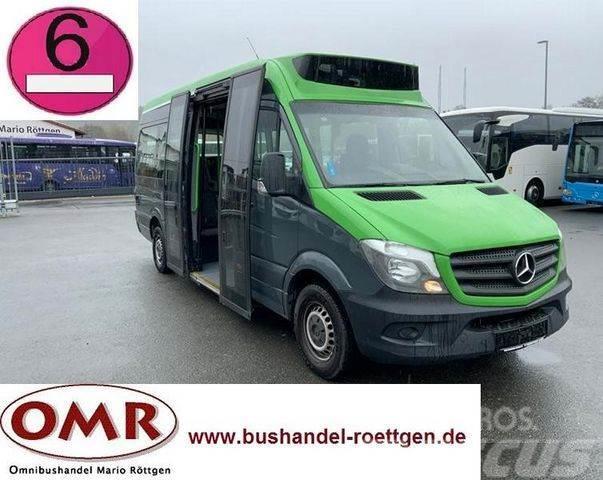 Mercedes-Benz Sprinter 314 Mobility / 316 / 514 / 516 / Rampe Minibusser
