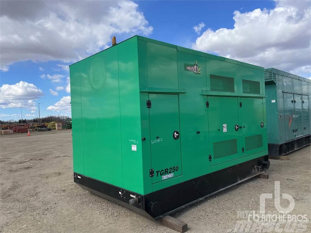 Taylor HC1434D Dieselgeneratorer